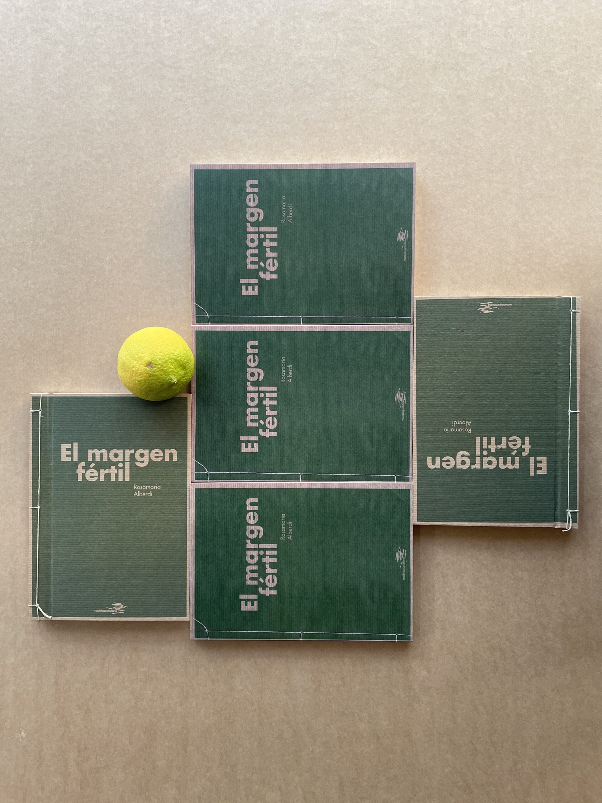 Presentació del llibre 'El margen fértil´ i altres poemaris de Rosamaría Alberdi