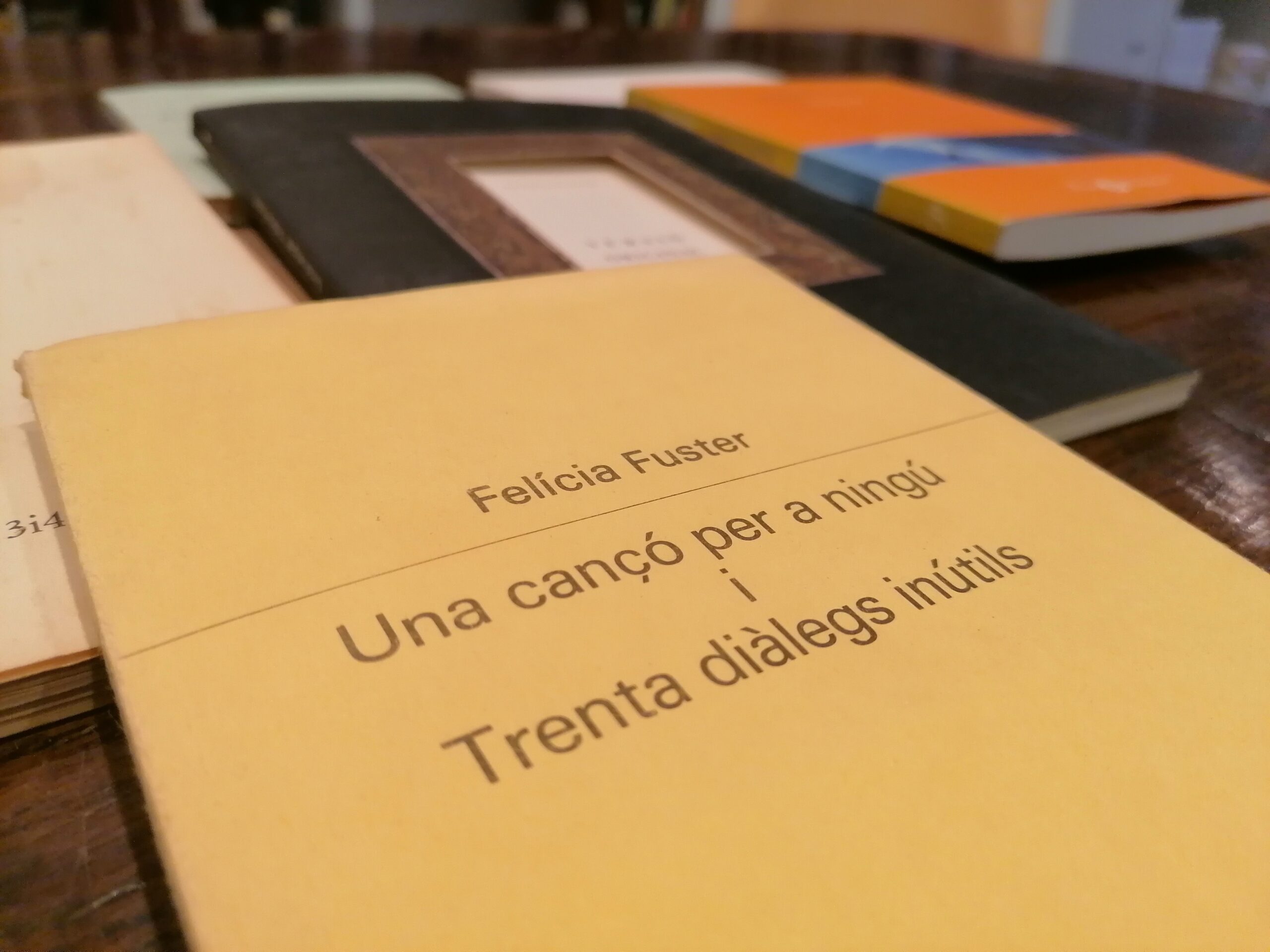Espai de lectura "Camins inèdits"